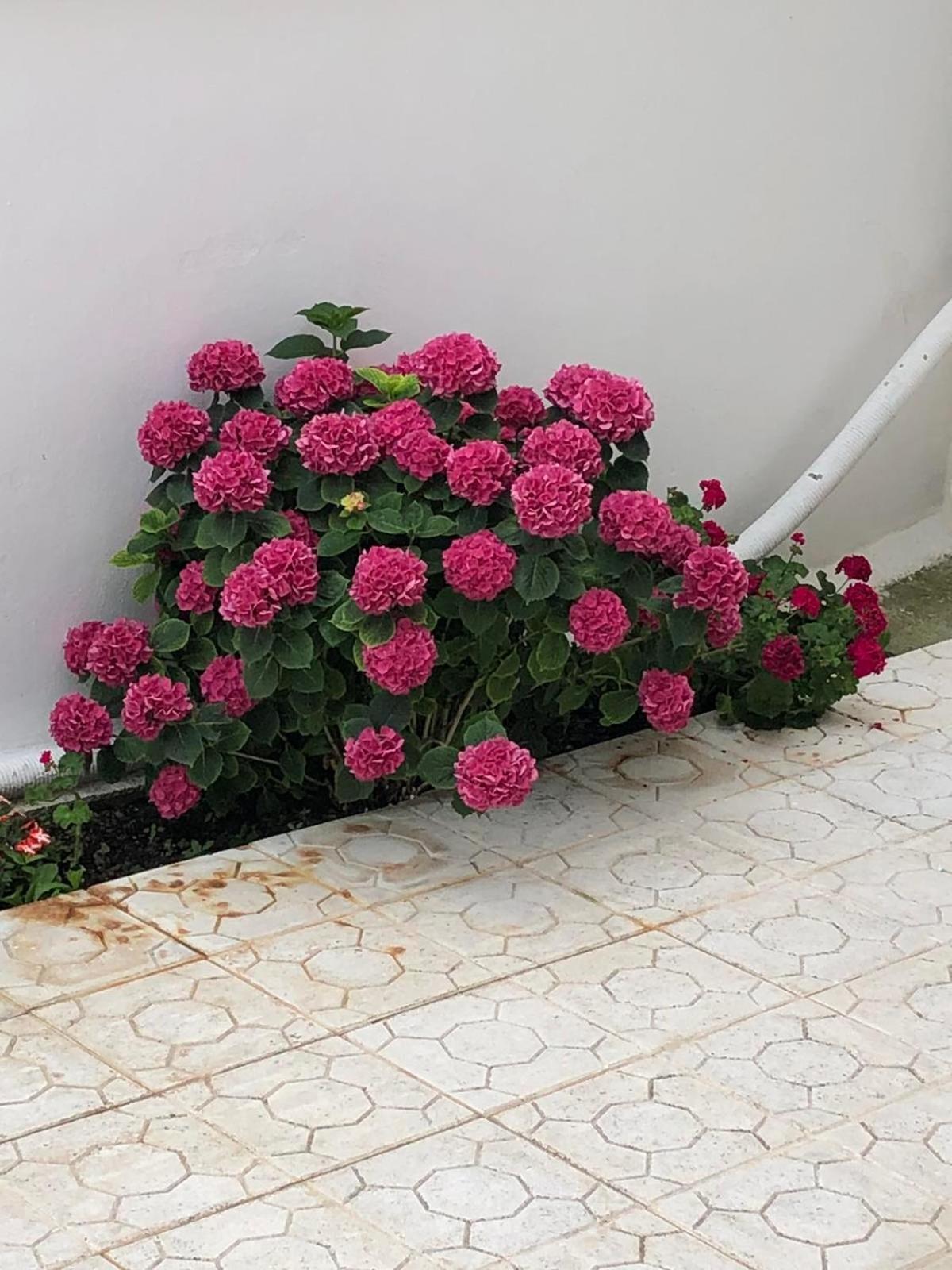 דירות Vrasná Anna'S House מראה חיצוני תמונה